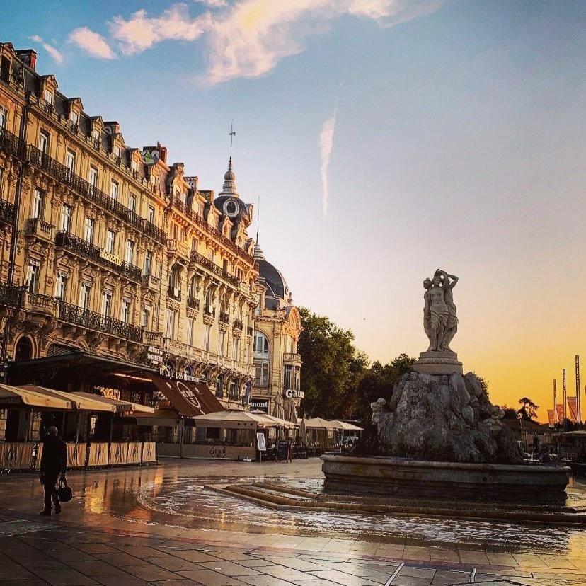 Apartmán Le Havre De Paix Montpellierain - Terrasse Et Parking Prive Exteriér fotografie